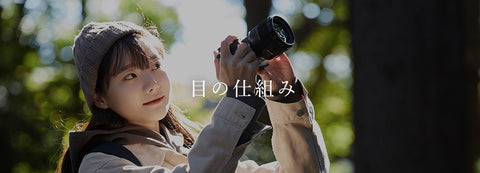目の仕組み